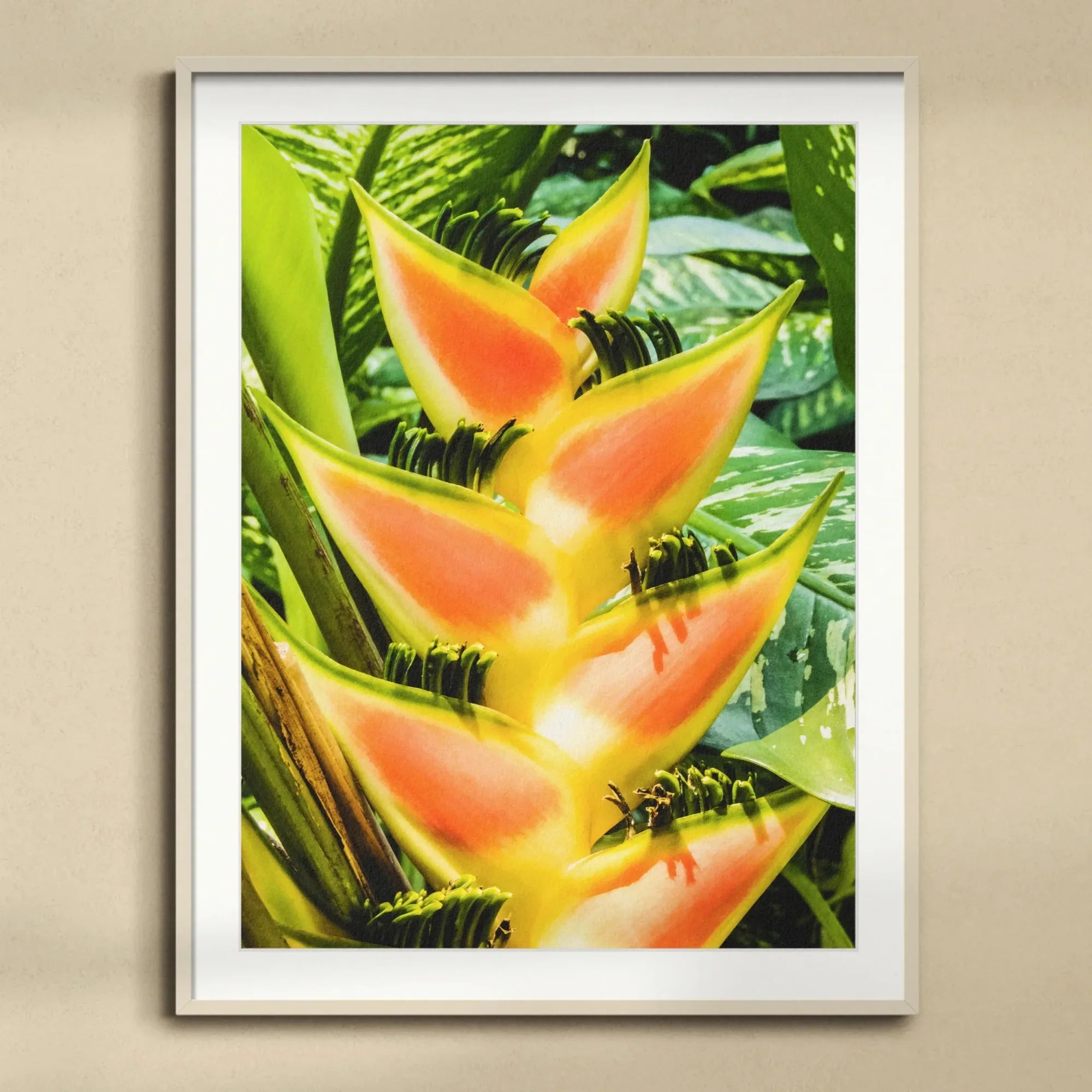 Showstopper - Heliconia Lobster Claw Art Print, Vibrant Orange Yellow Heliconia Flower Pointed Bracts Arranged