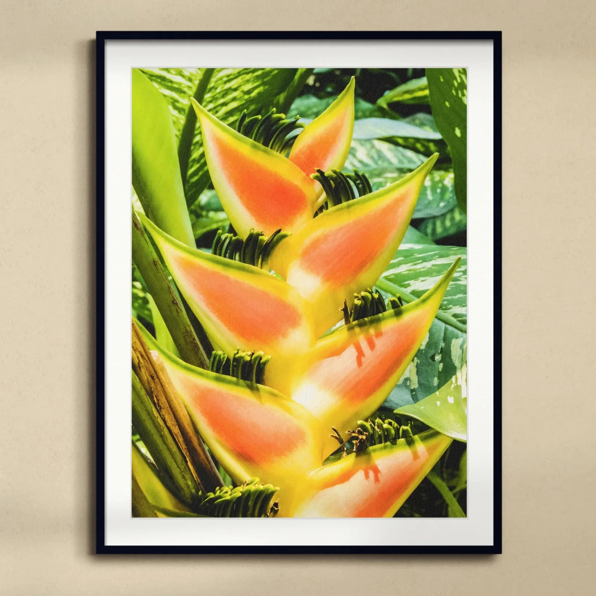 Showstopper - Heliconia Lobster Claw Art Print, Vibrant Orange Yellow Heliconia Flower Pointed Bracts Arranged