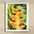 Showstopper - Heliconia Lobster Claw Art Print, Vibrant Orange Yellow Heliconia Flower Pointed Bracts Arranged