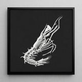 Shrimp - Ernst Haeckel Marine Life Art Print / Canvas Black-framed Artwork Detailed White Line Black Background, Crustacean Specter
