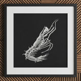 Shrimp - Ernst Haeckel Marine Life Art Print / Canvas Black-framed Artwork Detailed White Line Black Background, Crustacean Specter