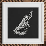 Shrimp - Ernst Haeckel Marine Life Art Print / Canvas Detailed White Chalk Black Paper Framed Simple, Crustacean Specter Materializes, Inky