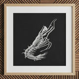 Shrimp - Ernst Haeckel Marine Life Art Print / Canvas Detailed White Chalk Prawn Black Paper Framed Light, Crustacean Specter Materializes,