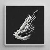 Shrimp - Ernst Haeckel Marine Life Art Print / Canvas Detailed White Line Shrimp Black Canvas Framed Sleek Ernst Haeckel, Crustacean