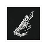 Shrimp - Ernst Haeckel Marine Life Art Print / Canvas White Skeleton Shell Crustacean Dark Background Ernst Haeckel, Specter Materializes,
