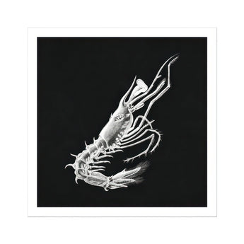 Shrimp - Ernst Haeckel Marine Life Art Print / Canvas White Skeleton Shell Crustacean Dark Background, Specter Materializes, Inky Depths
