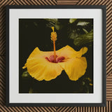 For Sita - Yellow Hibiscus Hoi an Art Print / Canvas Vibrant Flower Deep Red Center Slender, Tropical Jewel Captured, Prints