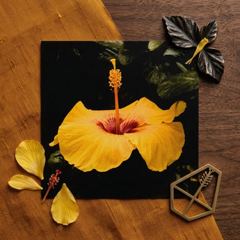 For Sita - Yellow Hibiscus Hoi an Art Print / Canvas Vibrant Flower Deep Red Center Slender, Tropical Jewel Captured, Prints