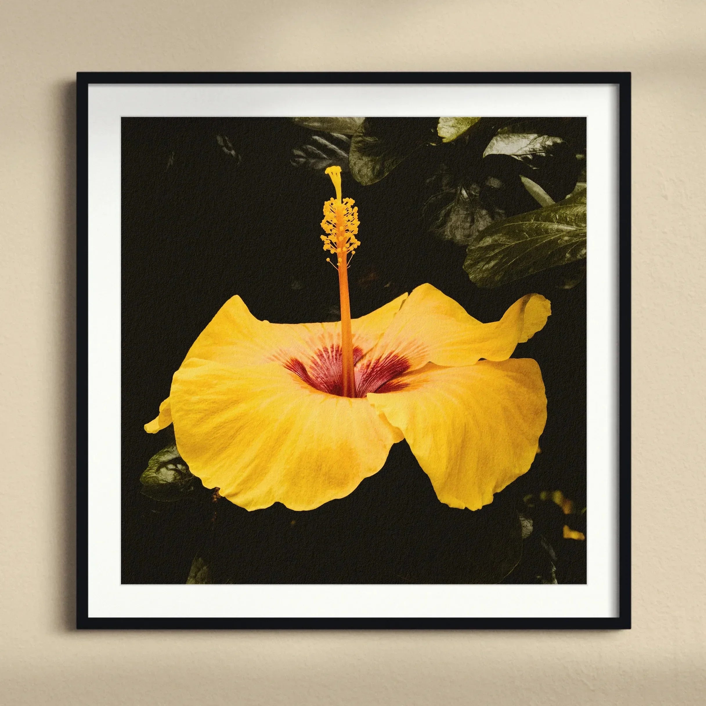 For Sita Yellow Hibiscus Hoi an Art Print, Yellow Hibiscus Flower Prominent Red Center Extended Stamen