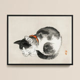 Sleeping Cat - Kono Bairei Meiji-era Animal Art Print / Canvas Black White Ink Painting Orange Collar Framed Kōno Bairei’s Mesmerizing,
