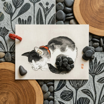 Sleeping Cat - Kono Bairei Meiji-era Animal Art Print / Canvas Delicate Black-and-white Ink Painting Cat Orange Collar Cream-colored Kōno