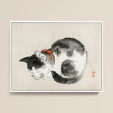 Sleeping Cat - Kono Bairei Meiji-era Animal Art Print / Canvas Framed Ink Wash Painting Black White Curled Kōno Bairei’s Mesmerizing,