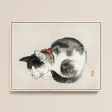 Sleeping Cat - Kono Bairei Meiji-era Animal Art Print / Canvas Framed Ink Wash Painting Black White Cat Orange Kōno Bairei’s Mesmerizing