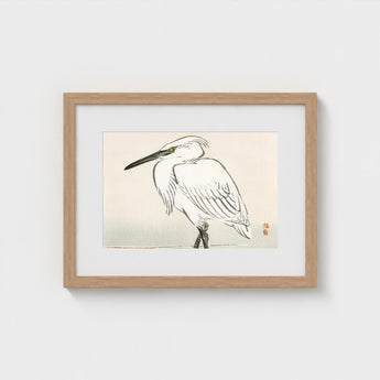 Snowy Egret - Kono Bairei Kacho-e Art Print / Canvas Bairei’s, Meiji Era Kachō-e, Kōno Prints