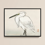 Snowy Egret - Kōno Bairei Kacho-e Art Print / Canvas, 16x12’’ / 41x31cm / Black Frame, Posters Prints & Visual Artwork, Toby Leon