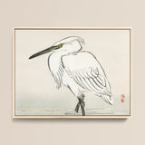 Snowy Egret - Kōno Bairei Kacho-e Art Print / Canvas, 16x12’’ / 41x31cm / Natural Frame, Posters Prints & Visual Artwork, Toby Leon