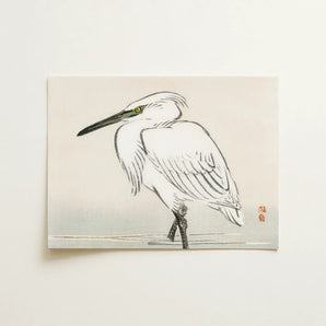 Snowy Egret - Kōno Bairei Kacho-e Art Print / Canvas, 16x12’’ / 41x31cm / Unframed / no Border, Posters Prints & Visual Artwork, Toby Leon