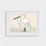 Snowy Egret - Kono Bairei Kacho-e Art Print / Canvas Bairei’s, Meiji Era Kachō-e, Kōno Prints