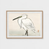 Snowy Egret - Kono Bairei Kacho-e Art Print / Canvas Bairei’s, Meiji Era Kachō-e, Kōno Prints