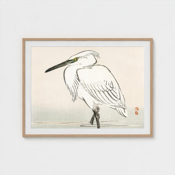 Snowy Egret - Kono Bairei Kacho-e Art Print / Canvas Bairei’s, Meiji Era Kachō-e, Kōno Prints