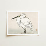 Snowy Egret - Kono Bairei Kacho-e Art Print / Canvas Bairei’s, Meiji Era Kachō-e, Kōno Prints