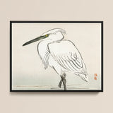 Snowy Egret - Kono Bairei Kacho-e Art Print / Canvas Framed Ink Wash Painting White Heron Black Yellow Bairei’s, Meiji Era Kachō-e, Kōno