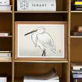 Snowy Egret - Kono Bairei Kacho-e Art Print / Canvas Framed Ink White Heron Yellow Eye Bairei’s, Meiji Era Kachō-e, Kōno Prints