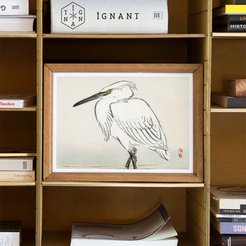 Snowy Egret - Kono Bairei Kacho-e Art Print / Canvas Framed Ink White Heron Yellow Eye Bairei’s, Meiji Era Kachō-e, Kōno Prints