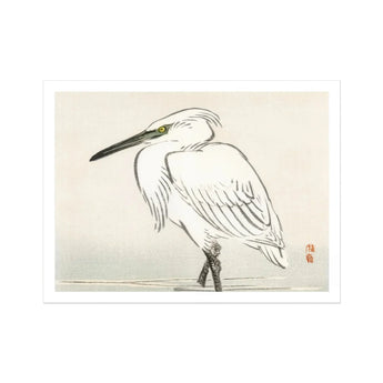Snowy Egret - Kono Bairei Kacho-e Art Print / Canvas White Heron Ruffled Feathers Long Beak Bairei’s Snowy Egret, Meiji Era Kachō-e, Kōno