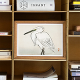 Snowy Egret - Kōno Bairei Kacho-e Art Print, Framed Ink White Egret Heron Yellow Eye