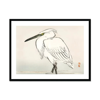 Snowy Egret - Kōno Bairei Kacho-e Art Print, White Heron Long Pointed Beak Traditional Japanese Ink