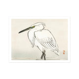 Snowy Egret - Kōno Bairei Kacho-e Art Print, White Heron Ruffled Feathers Long Beak