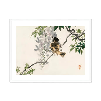 Sparrow on a Branch - Kōno Bairei Meiji Era Art Print, Bird Perched Branch Wisteria Flowers Leaves