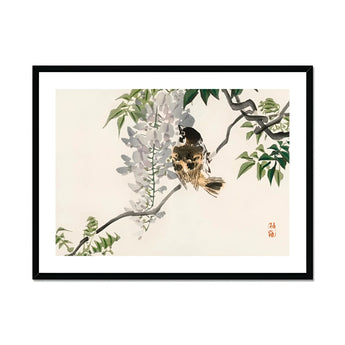 Sparrow on a Branch - Kōno Bairei Meiji Era Art Print, Bird Perched Branch Wisteria Flowers Leaves
