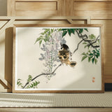 Sparrow on a Branch - Kono Bairei Meiji Era Art Print / Canvas Framed Japanese-style Artwork Bird Perched Among Wisteria Blossoms Meiji-era