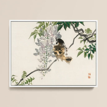 Sparrow on a Branch - Kono Bairei Meiji Era Art Print / Canvas Framed Traditional Japanese Ink Wash Painting Bird Perched Meiji-era Avian