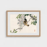 Sparrow on a Branch - Kono Bairei Meiji Era Art Print / Canvas Meiji-era Avian Marvel, Nature’s Ephemeral Beauty Prints