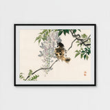 Sparrow on a Branch - Kono Bairei Meiji Era Art Print / Canvas Meiji-era Avian Marvel, Nature’s Ephemeral Beauty Prints