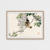 Sparrow on a Branch - Kono Bairei Meiji Era Art Print / Canvas Meiji-era Avian Marvel, Nature’s Ephemeral Beauty Prints