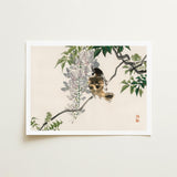 Sparrow on a Branch - Kono Bairei Meiji Era Art Print / Canvas Meiji-era Avian Marvel, Nature’s Ephemeral Beauty Prints