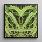 Spiked - Contemporary Aloe Vera Art Framed Canvas, 12x12’’ / 31x31cm / Black Floating Frame, Symmetrical Green Plant Leaves Heart-like