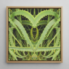 Spiked - Contemporary Aloe Vera Art Framed Canvas, 12x12’’ / 31x31cm / Natural Floating Frame, Framed Canvas Art Symmetrical Abstract