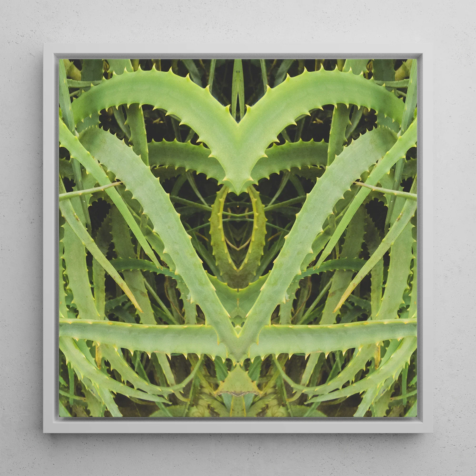 Spiked - Contemporary Aloe Vera Art Framed Canvas, 12x12’’ / 31x31cm / White Floating Frame, Symmetrical Aloe Vera Plant Art