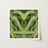 Spiked - Trippy Aloe Vera Botanical Art Print / Canvas Framed Square Symmetrical Heart-shaped Composition Green Humble, Prints