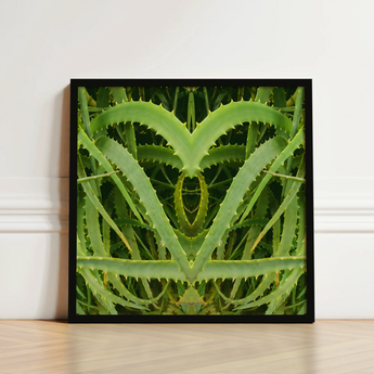 Framed Artwork Symmetrical Heart-shaped Composition Vibrant Green Aloe Humble Vera, Trippy, Botanical