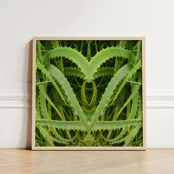 Framed Artwork Symmetrical Heart-shaped Composition Vibrant Green Aloe Humble Vera, Trippy, Botanical