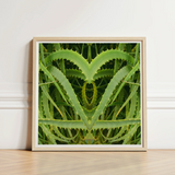Framed Artwork Symmetrical Heart-shaped Composition Vibrant Green Aloe Humble Vera, Trippy, Botanical
