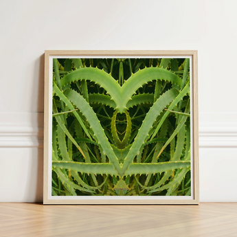 Framed Artwork Symmetrical Heart-shaped Composition Vibrant Green Aloe Humble Vera, Trippy, Botanical