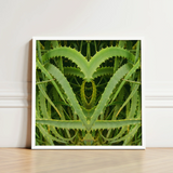 White-framed Art Print Symmetrical Heart-shaped Composition Vibrant Green Humble Aloe Vera, Trippy, Botanical