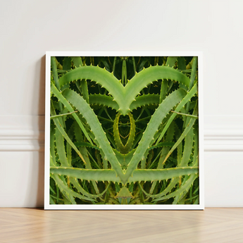 White-framed Art Print Symmetrical Heart-shaped Composition Vibrant Green Humble Aloe Vera, Trippy, Botanical
